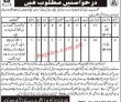 Government Pk Jobs 2021 | Local Government & Rural Development