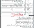 Government Pk Jobs 2021 | Provincial Public Sector Organization Management