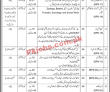 Government Wildlife Division Management PK Jobs 2021