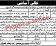 Government Zakat Committee Management PK Jobs 2021