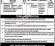 Govt It Jobs Punjab Agriculture Research Boardparb Jobs 2022