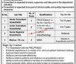 Govt Jobs Pakistan Hameed Latif Hospital Jobs 2022 Pk
