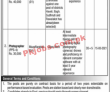 Green Pakistan Ten Billion Tree Tsunami Programme PK Jobs 2021