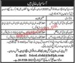 Hdf Jobs 2023 | Human Development Foundation Head Office Announced