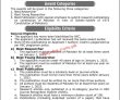 Hec Jobs 2023 | Higher Education Commission Head Office Announced