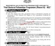 Hec Pk Jobs 2021 | Higher Education Commission Announced Management