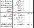 Hafizabad District Council New In Pakistan Jobs 2022 Advertisement