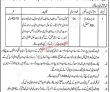 Haveli Forest Department Ajk Pakistan New Jobs 2022 Advertisement