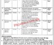 Health Department Jobs 2022 | Directorate Of Health Services Headquarters