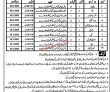 Health Department Jobs 2022 | District Health Authority Head Office