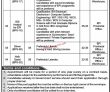 Health Services Jobs 2022 | Directorate General Health Services Headquarters