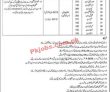 Healthcare Department Jobs 2023 | Primary & Secondary Healthcare Department