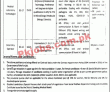 Healthcare Jobs 2022 | Primary & Secondary Healthcare Department Head