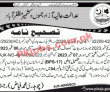 High Court Latest Jobs 2023