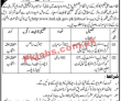 Higher Education Department Management PK Jobs 2021