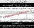Home Department Pk Jobs 2021 | Directorate Of Monitoring Home