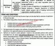 Human Organ Transplantation Authority PK Jobs 2021