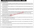 Human Resource Solution International Hrsi jobs 2023