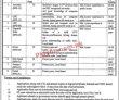 Human Rights Jobs 2022 | Ministry Of Human Rights Headquarters