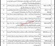 Hyderabad Public Sector Organization Today Government Pakistan Jobs 2022 Advertisement