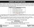Ignite Nation Technology Fund jobs 2023