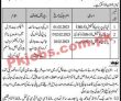 Inspectorate General Sindh Prisons & Corrections Service Jobs 2023