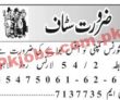Insurance Company latest Jobs 2023