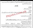 Insurance Company Pk Jobs 2021 | Jobs In Insurance |