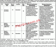 Insurance Jobs 2022 | Postal Life Insurance Company Limited Plic