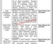 International Humanitarian Organization Management PK Jobs 2021