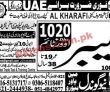 International Jobs 2023 | Uae, Qatar, Saudi Arabia Recruitments Jobs
