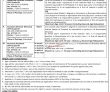 Islamabad Overseas Pakistanis Foundation Opf Government It Jobs 2022 Advertisement