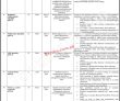 Islamabad Prime Minister Office Pakistan Today Jobs 2022 Advertisement