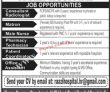 It Jobs In Government Sector Al Khidmat Raazi Hospital Jobs