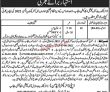 It Jobs In Government Sector Special Education Department Punjab Jobs