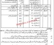 Jail Department Jobs 2023 | Jail Department Headquarters Announced Latest Recruitments