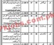 Jail Department Latest Advertisement PK Jobs 2021