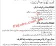Jazz Telecom latest Jobs 2023