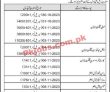 Job Interviews At Wapda