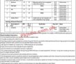 Job Vacancies At Punjab Information Technology Board Pitb