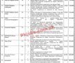 Jobs Announced At Primary & Secondary Healthcare Department