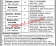 Jobs February 2023subhan Institute Of Nursing And Allied Health Sciences