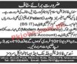 Jobs February 2023sundas Foundation Islamabad
