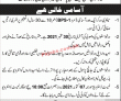 Jobs In 16 Dsf Company Pakistan Air Force