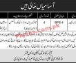 Jobs in 310 MT Company