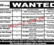 Jobs In 6sense Group