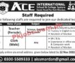Jobs In Ace International School & College System