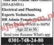 Jobs In Amas Solutions