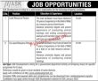 Jobs In Ask Development