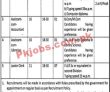 Jobs in Advocate General Punjab Lahore